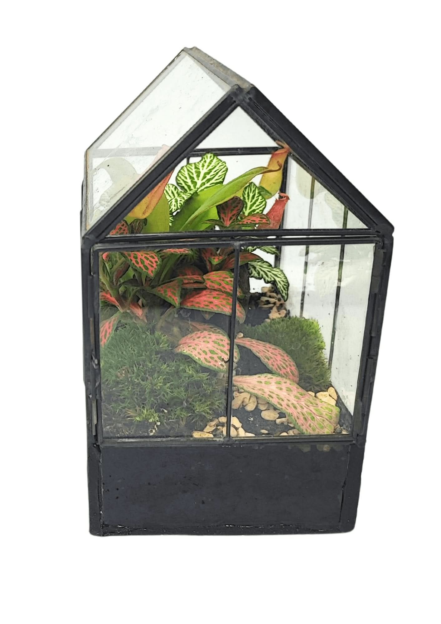 Terrarium geometrico Micro Oasi 2TR062