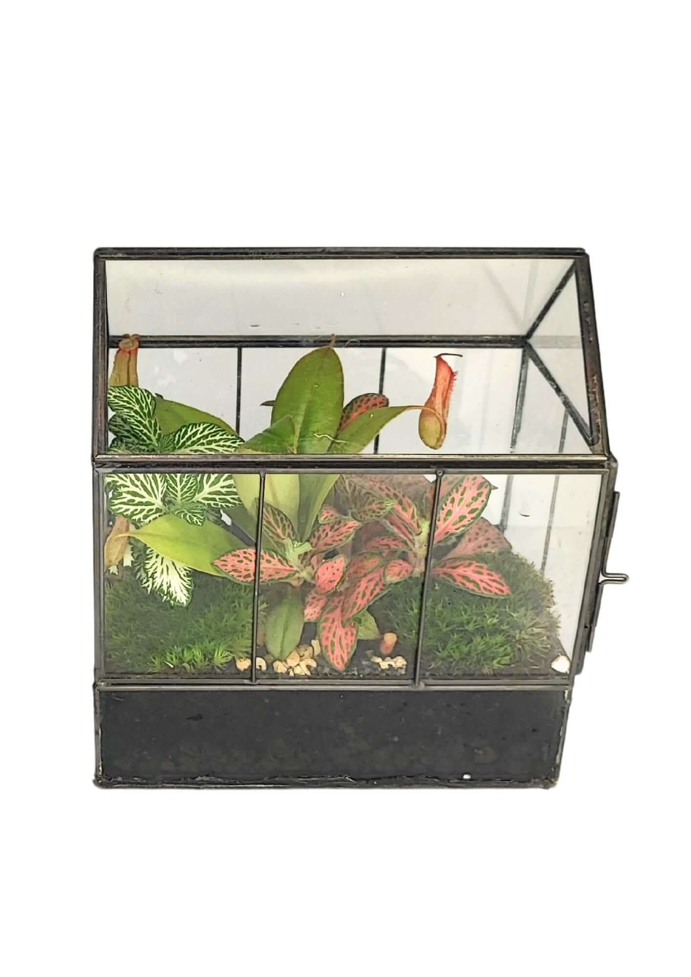 Terrarium geometrico Micro Oasi 2TR062