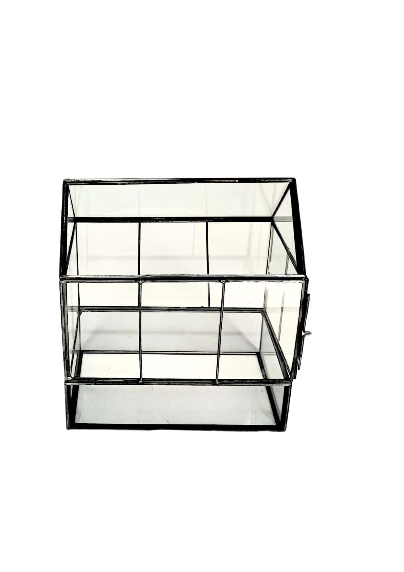 Terrarium geometrico Micro Oasi 2TR062