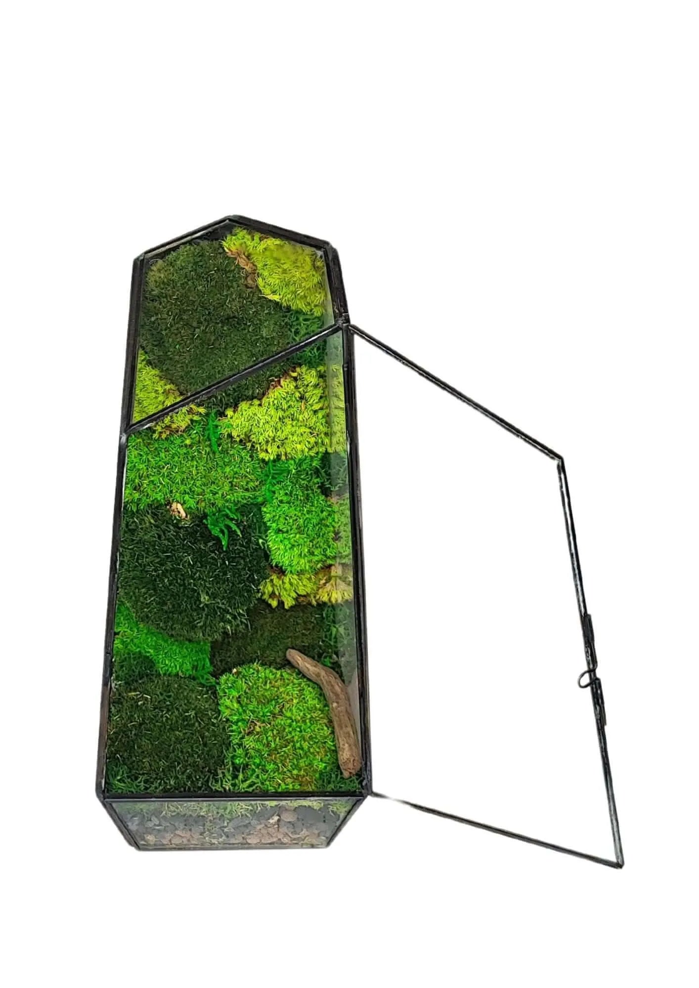 Terrarium geometrico Oasi di Luce 2TR068