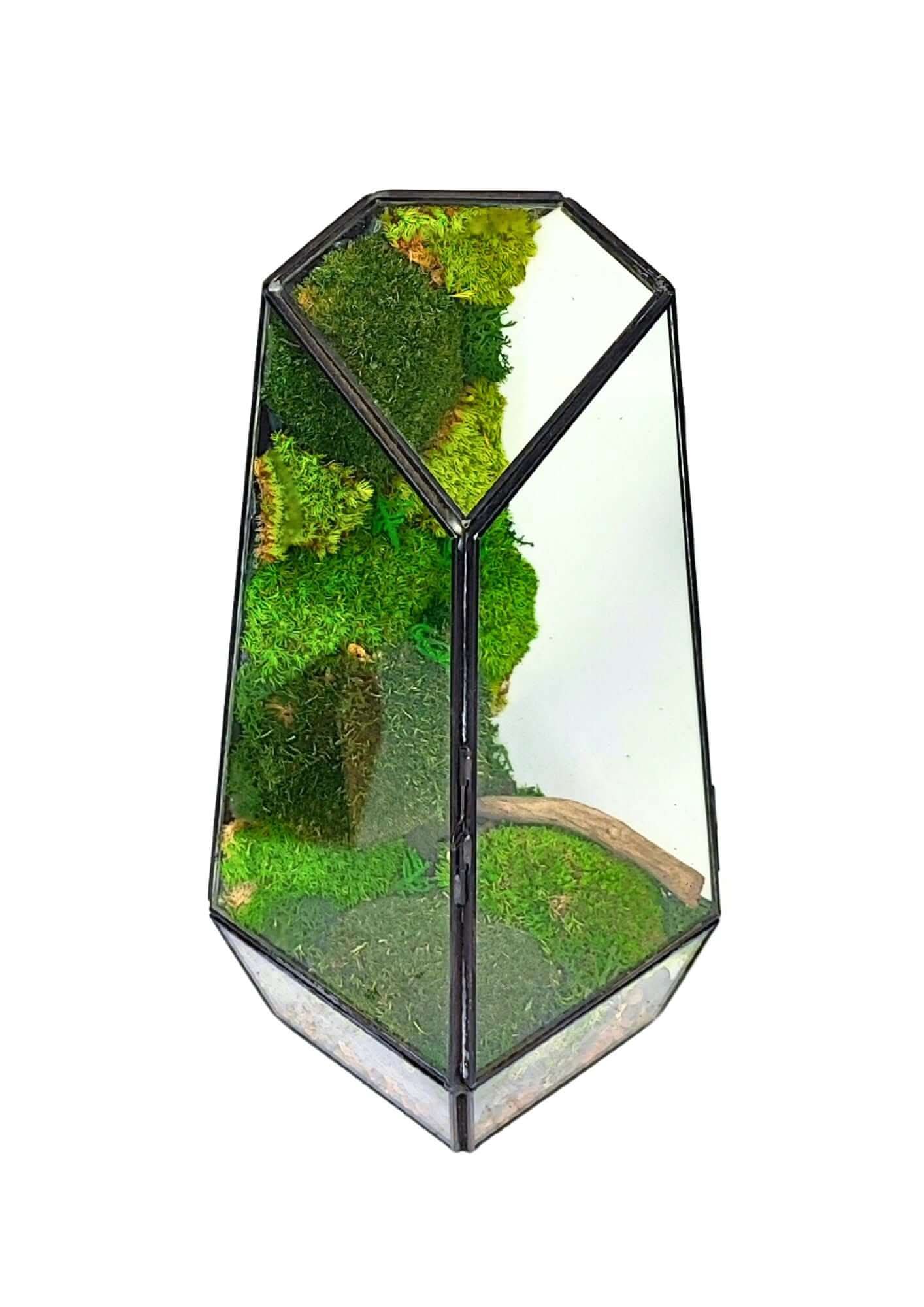 Terrarium geometrico Oasi di Luce 2TR068