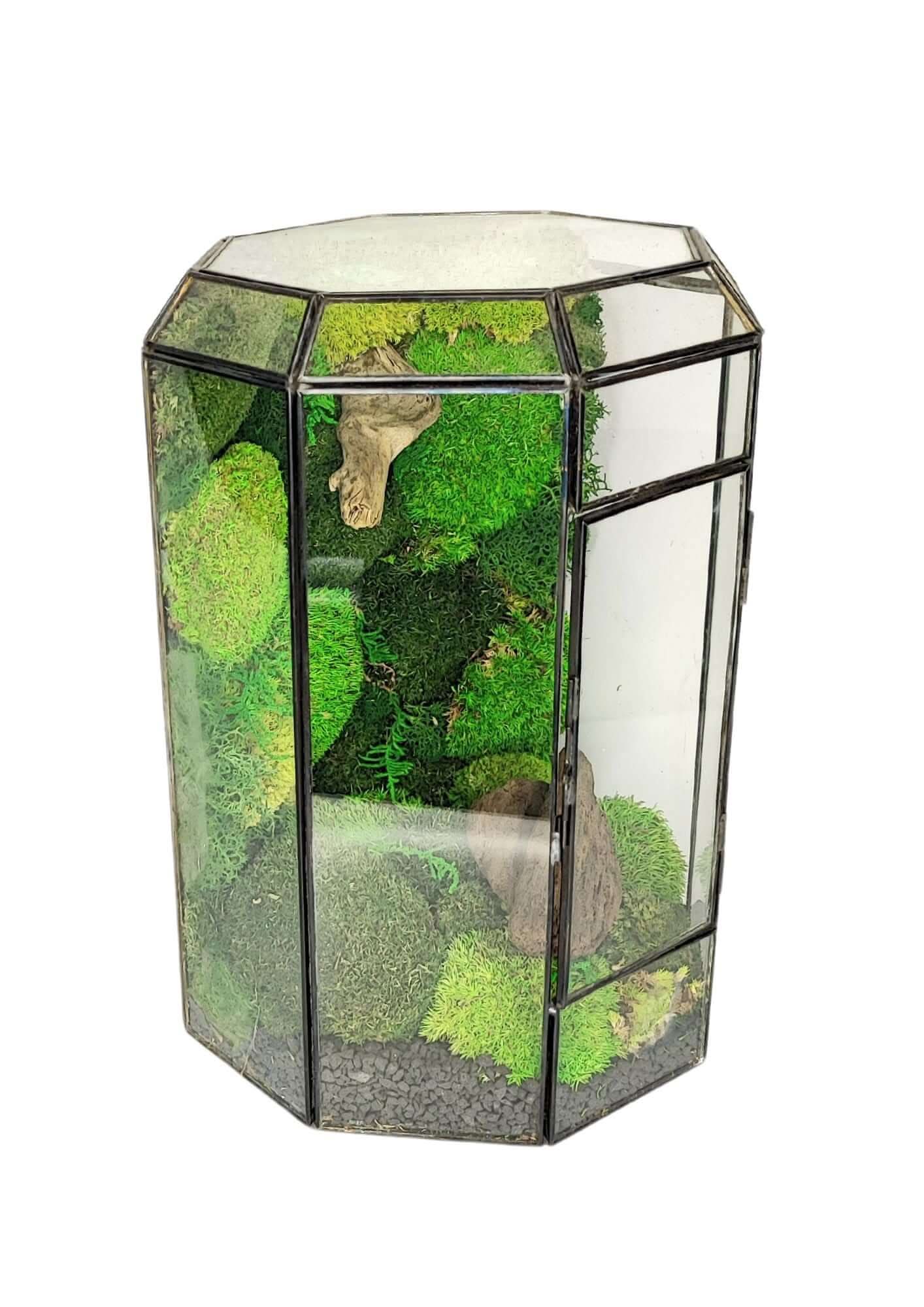 Terrarium geometrico Oasi di Luce 2TR069