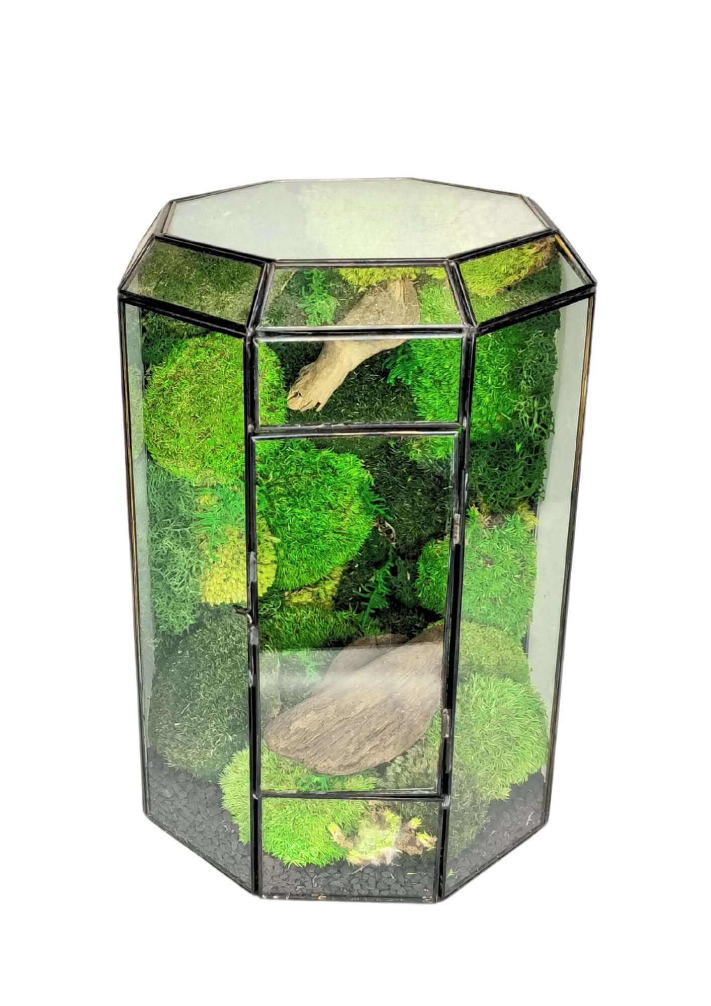 Terrarium geometrico Oasi di Luce 2TR069
