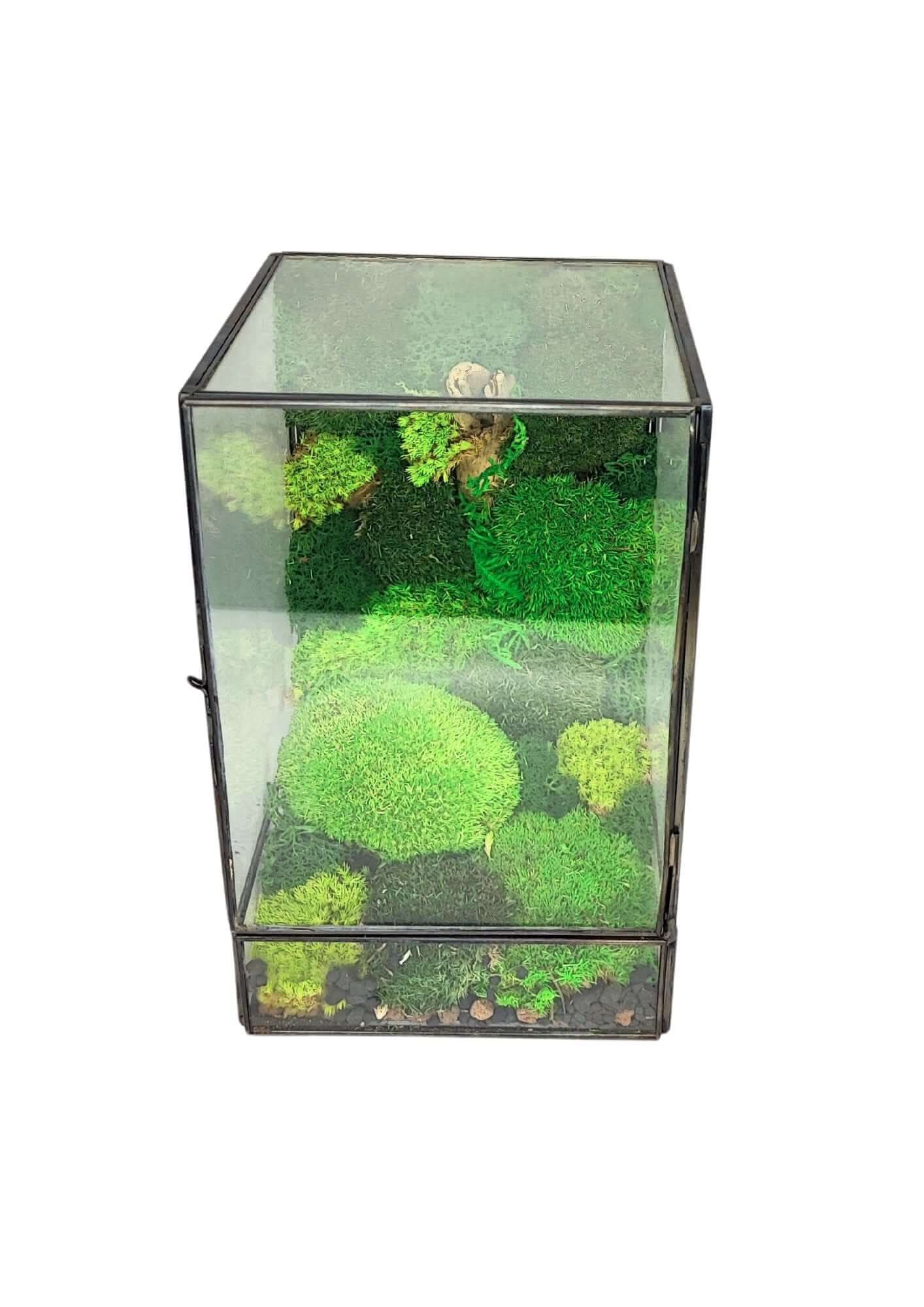 Terrarium geometrico Paradiso Naturale 2TR076