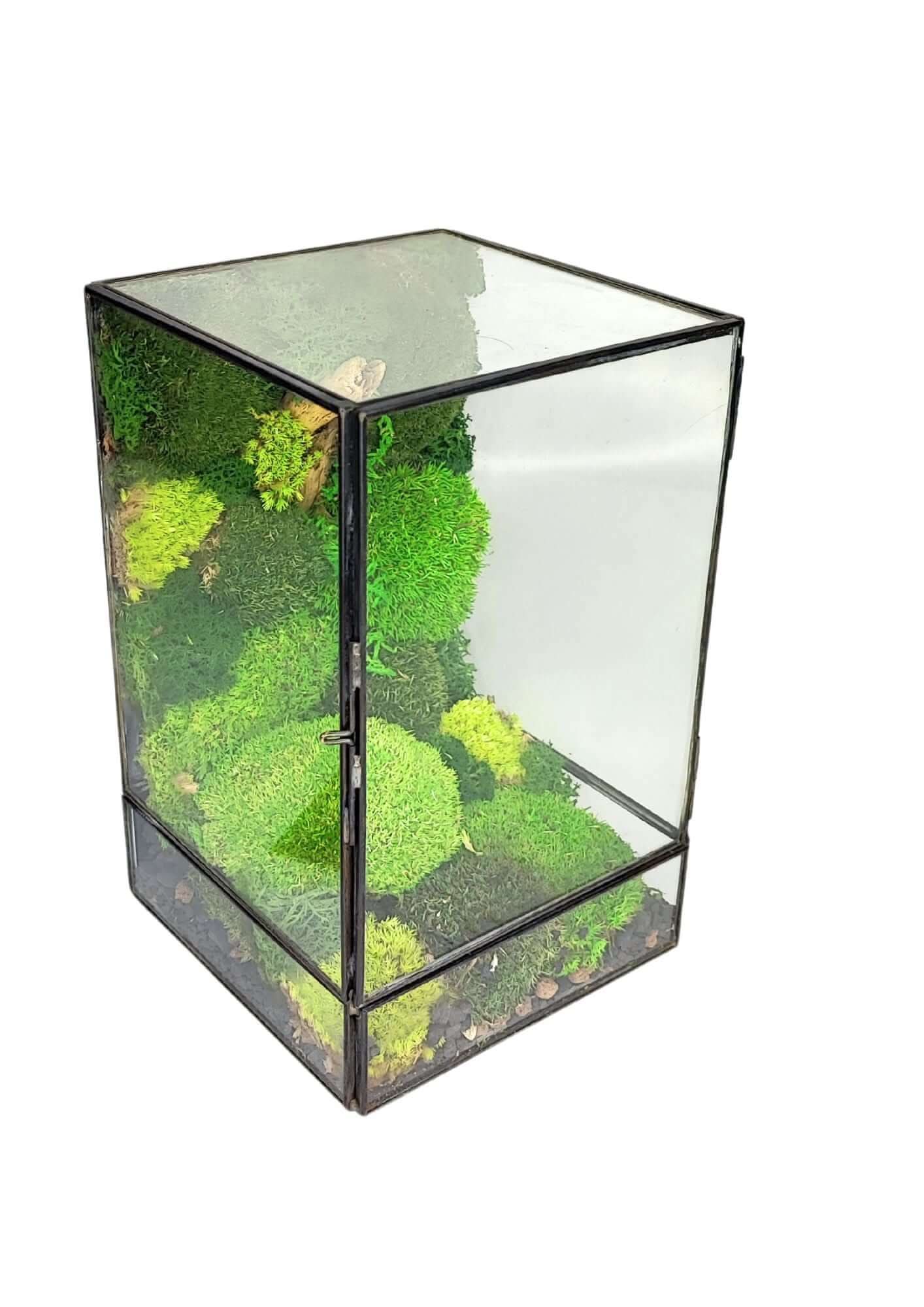 Terrarium geometrico Paradiso Naturale 2TR076