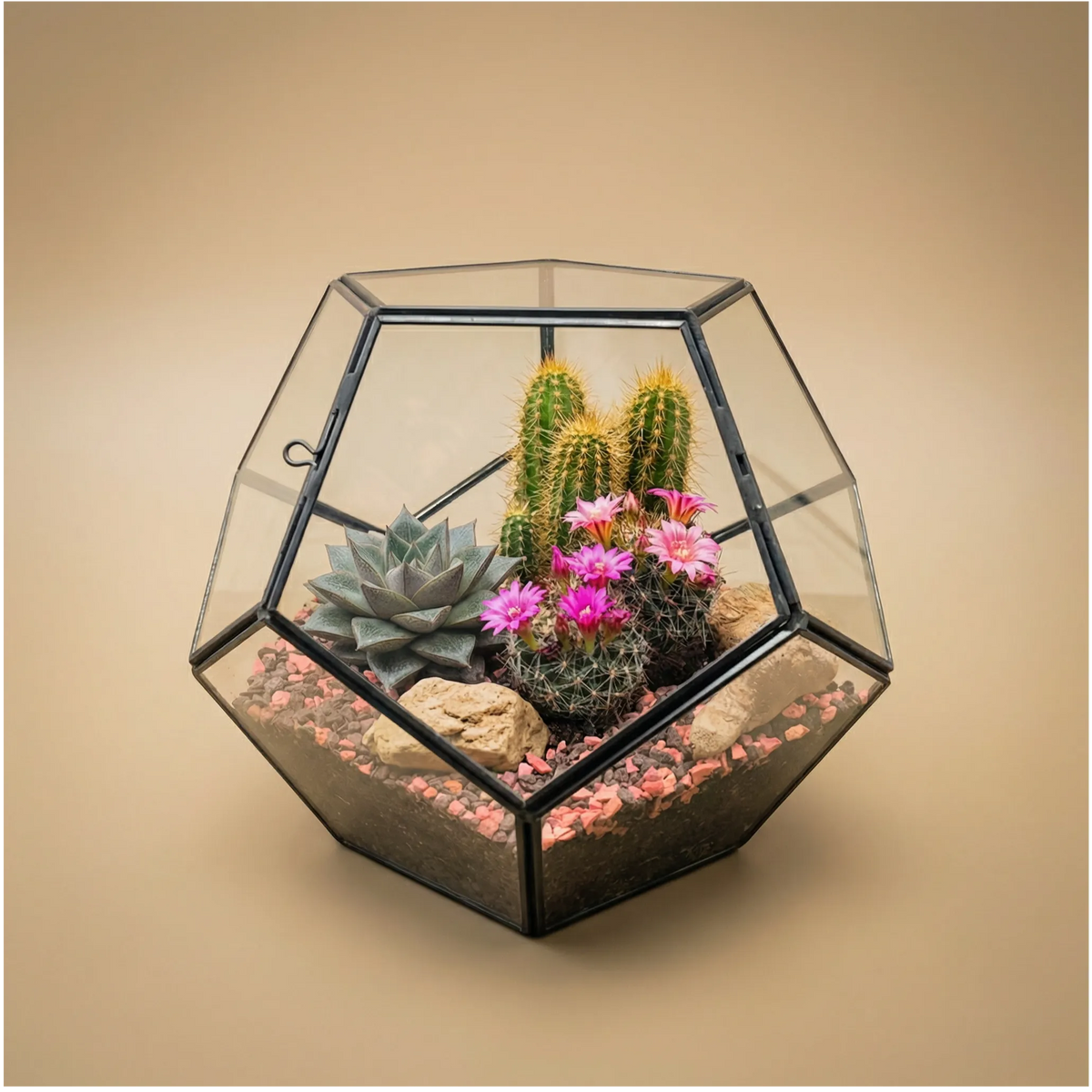 Terrarium Geometrico con Piante Grasse