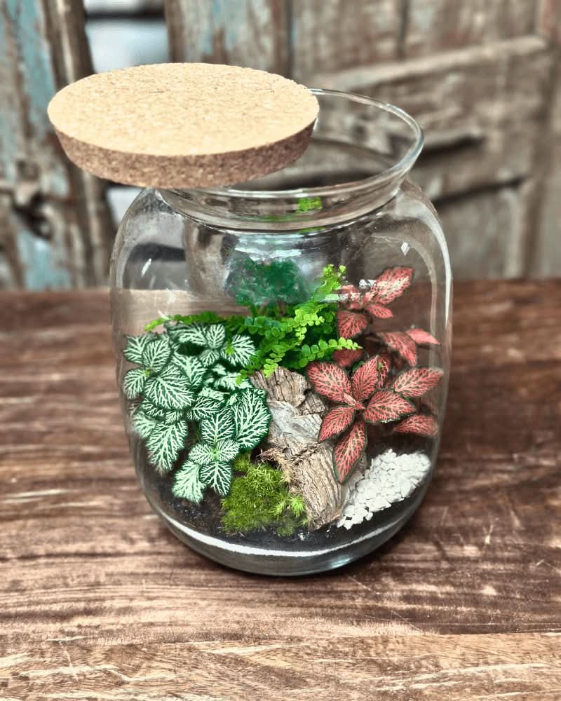 Terrarium Giardino Segreto 049