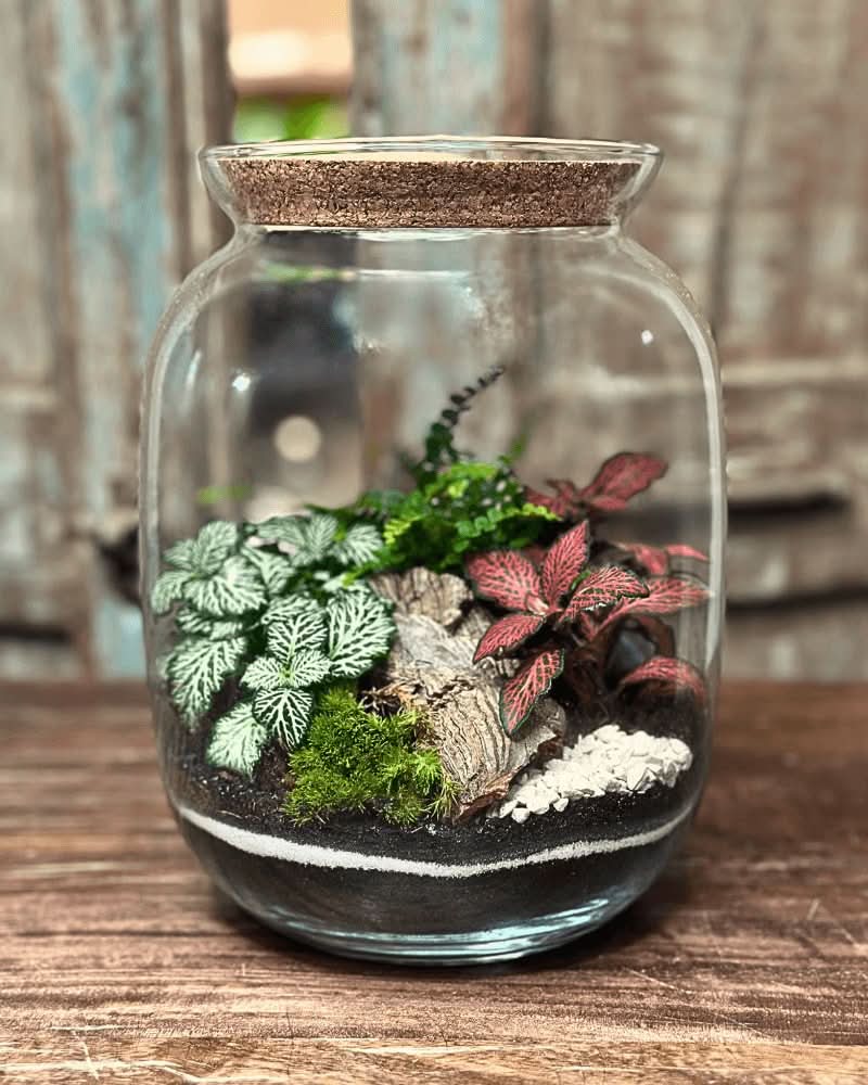 Terrarium Giardino Segreto 049