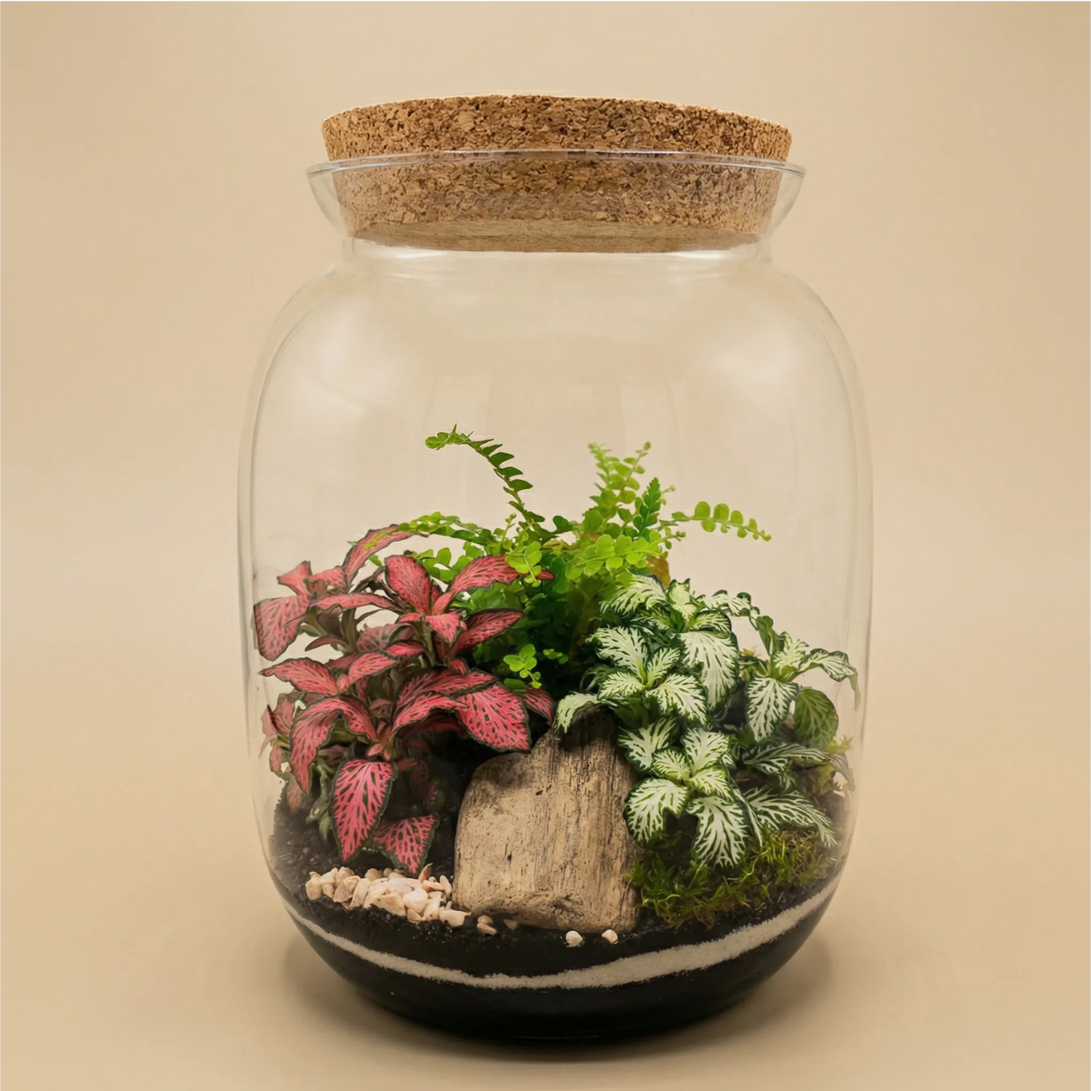 Terrarium Giardino Segreto 049