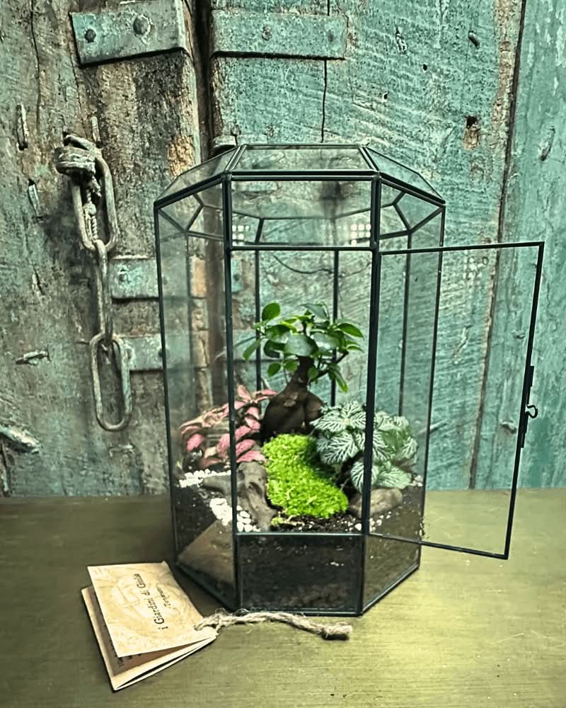 Terrarium Infinito 069V
