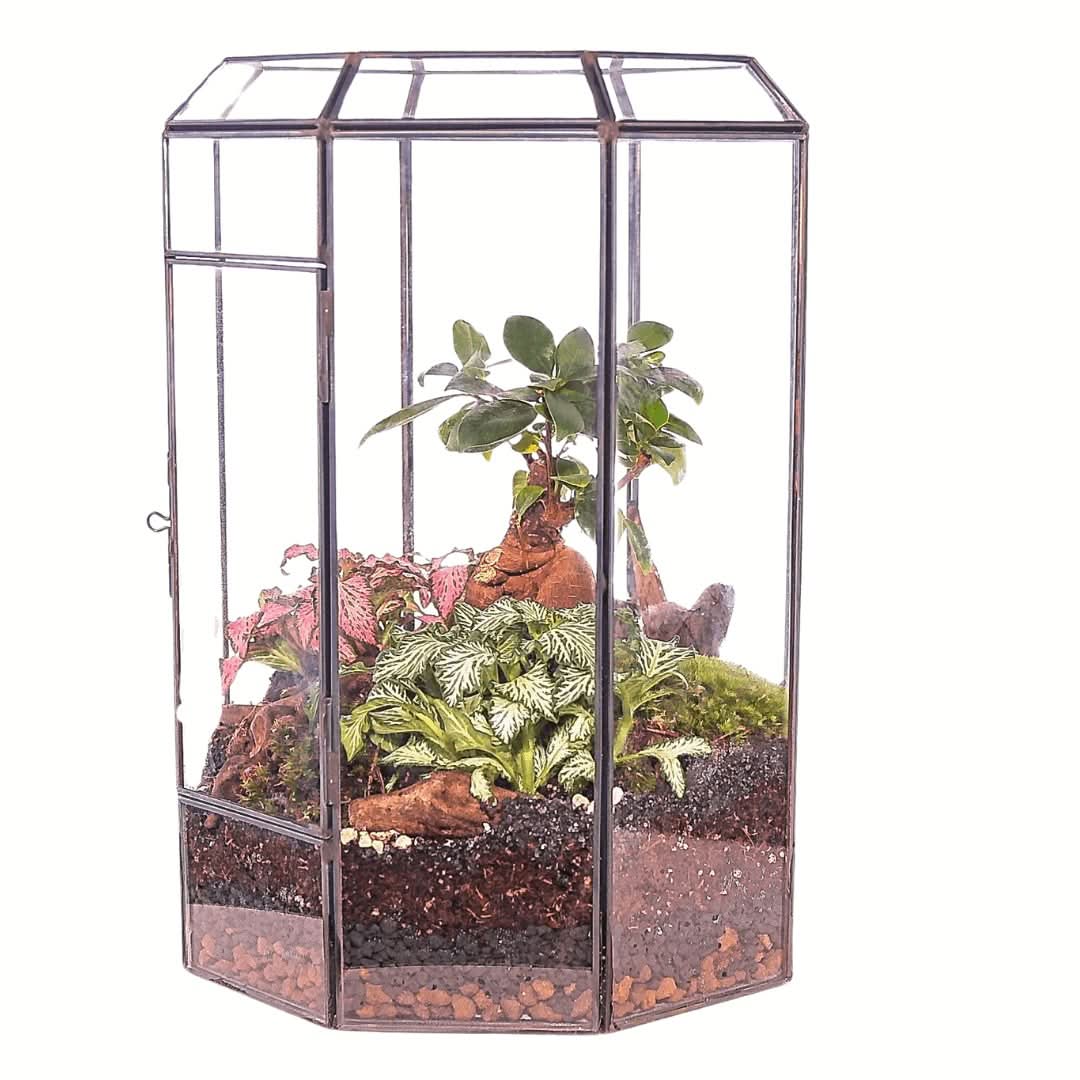 Terrarium Infinito 069V