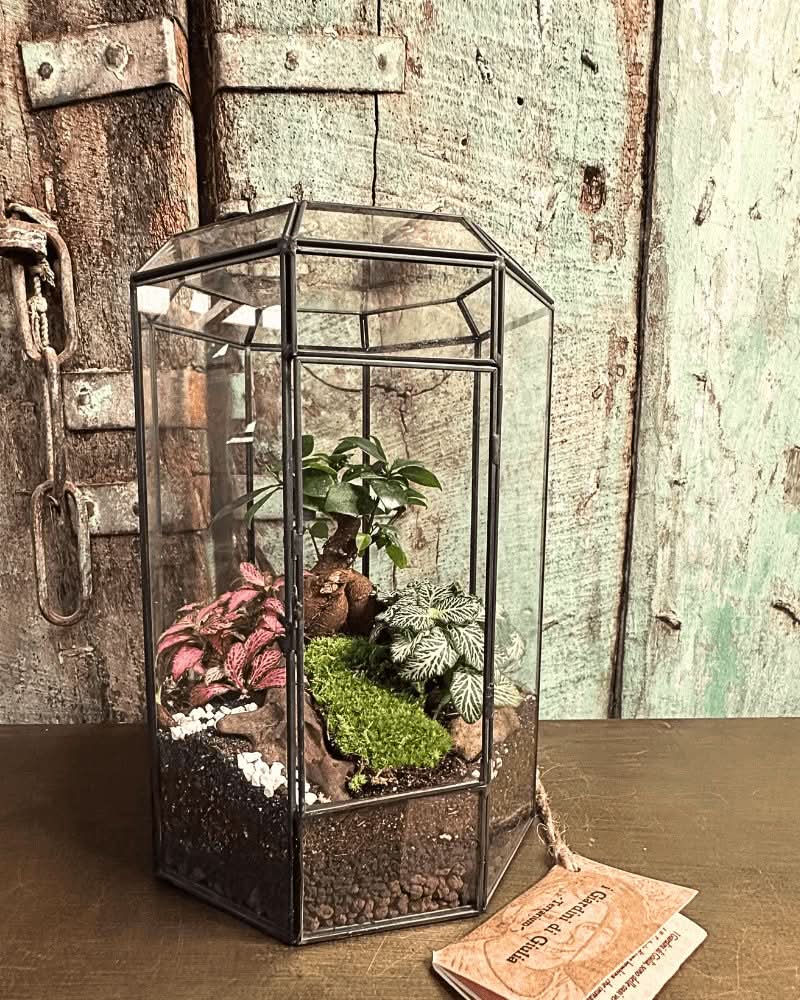 Terrarium Infinito 069V