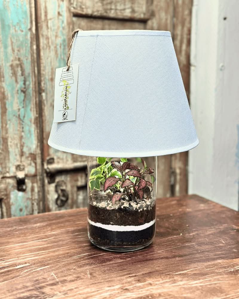 Terrarium Lamparium Aurora