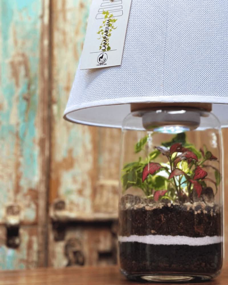 Terrarium Lamparium Aurora