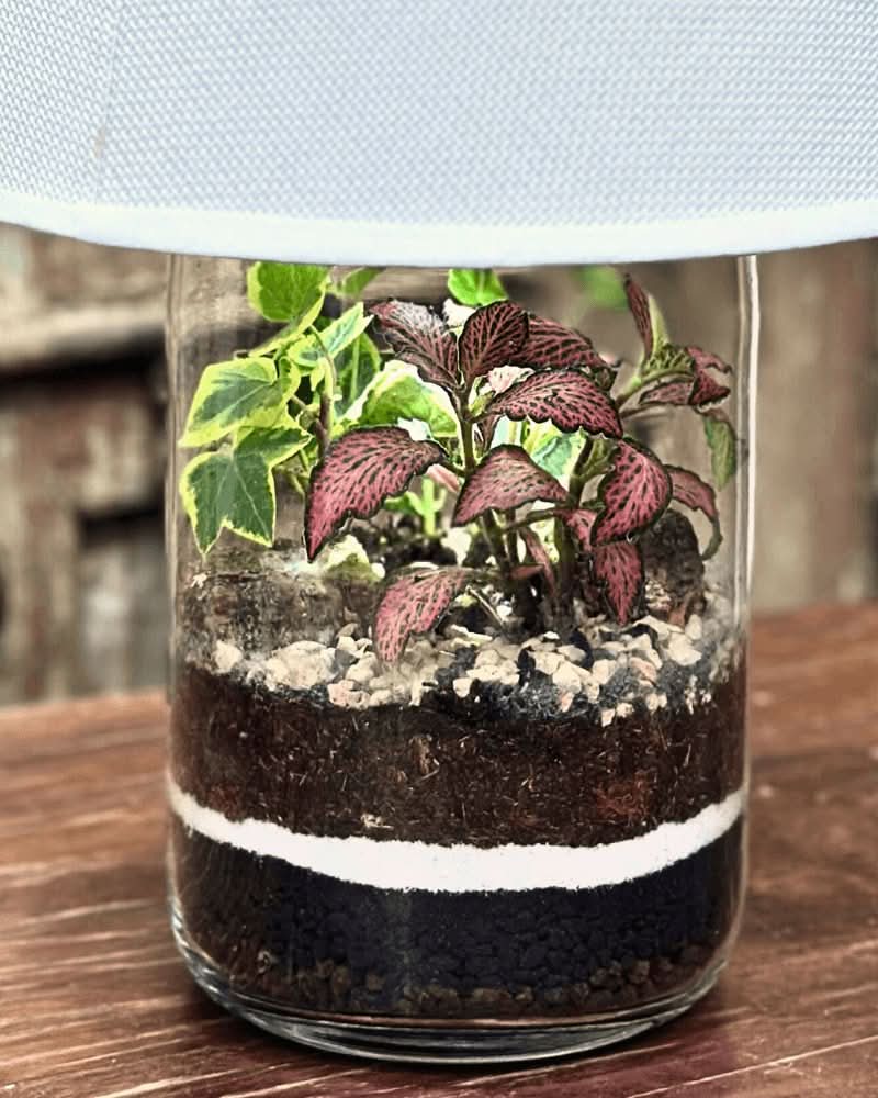 Terrarium Lamparium Aurora