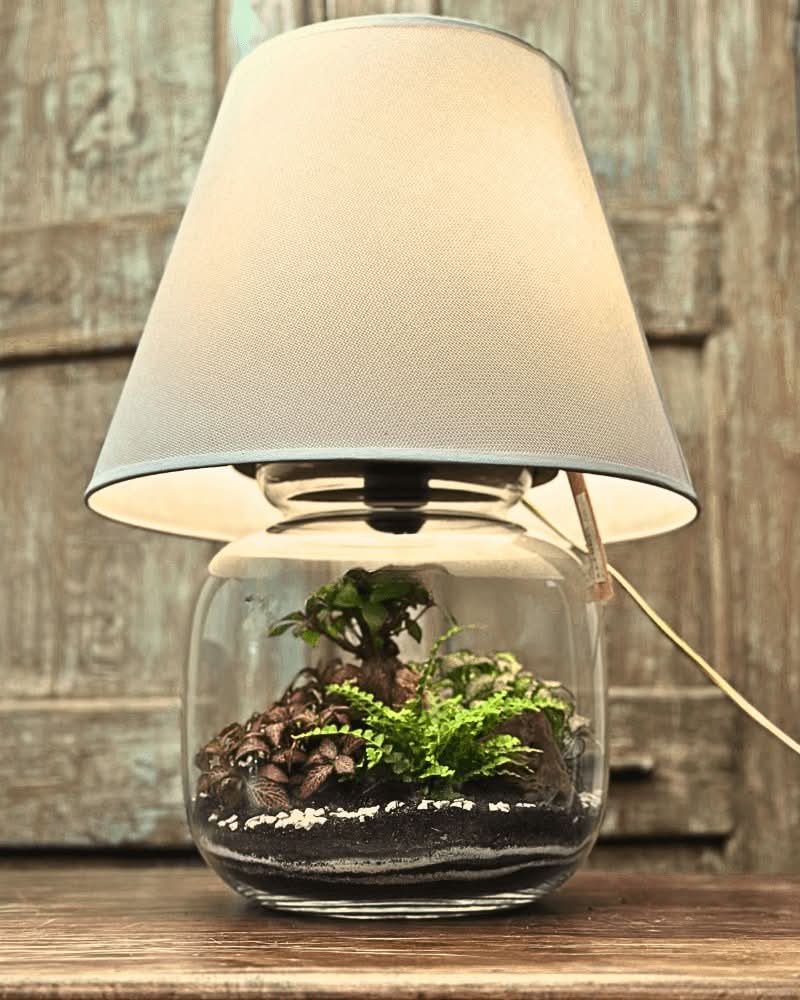 Terrarium Lamparium Martina