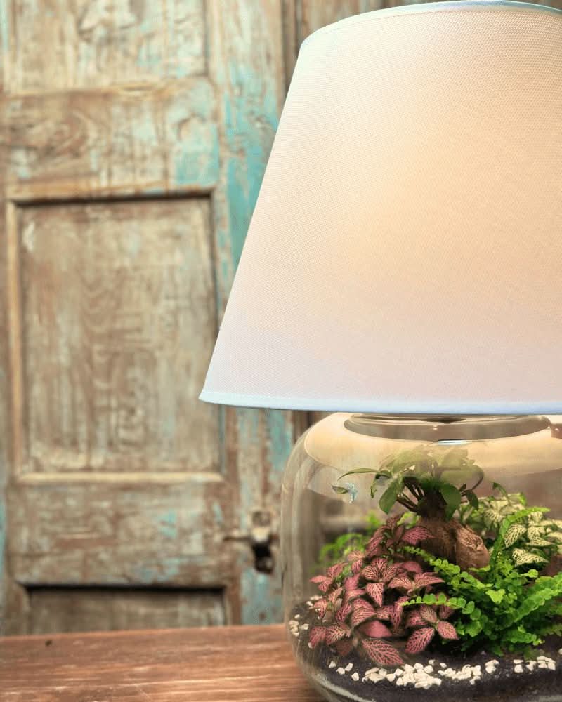 Terrarium Lamparium Martina