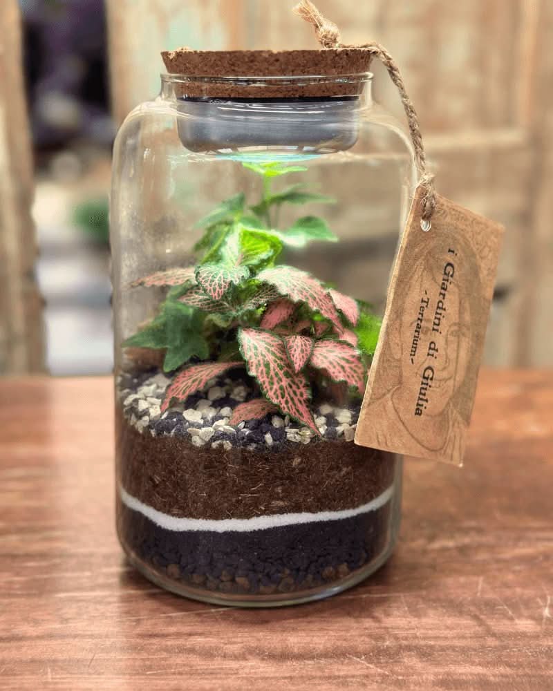 Terrarium Lumina