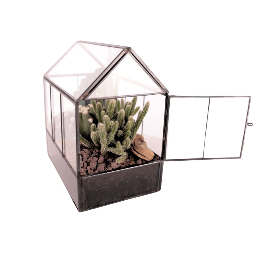 Terrarium Mini Serra con Piante Grasse 062G