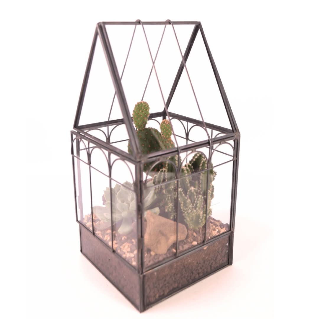 Terrarium Mini Serra Romantica con Piante Grasse 063G