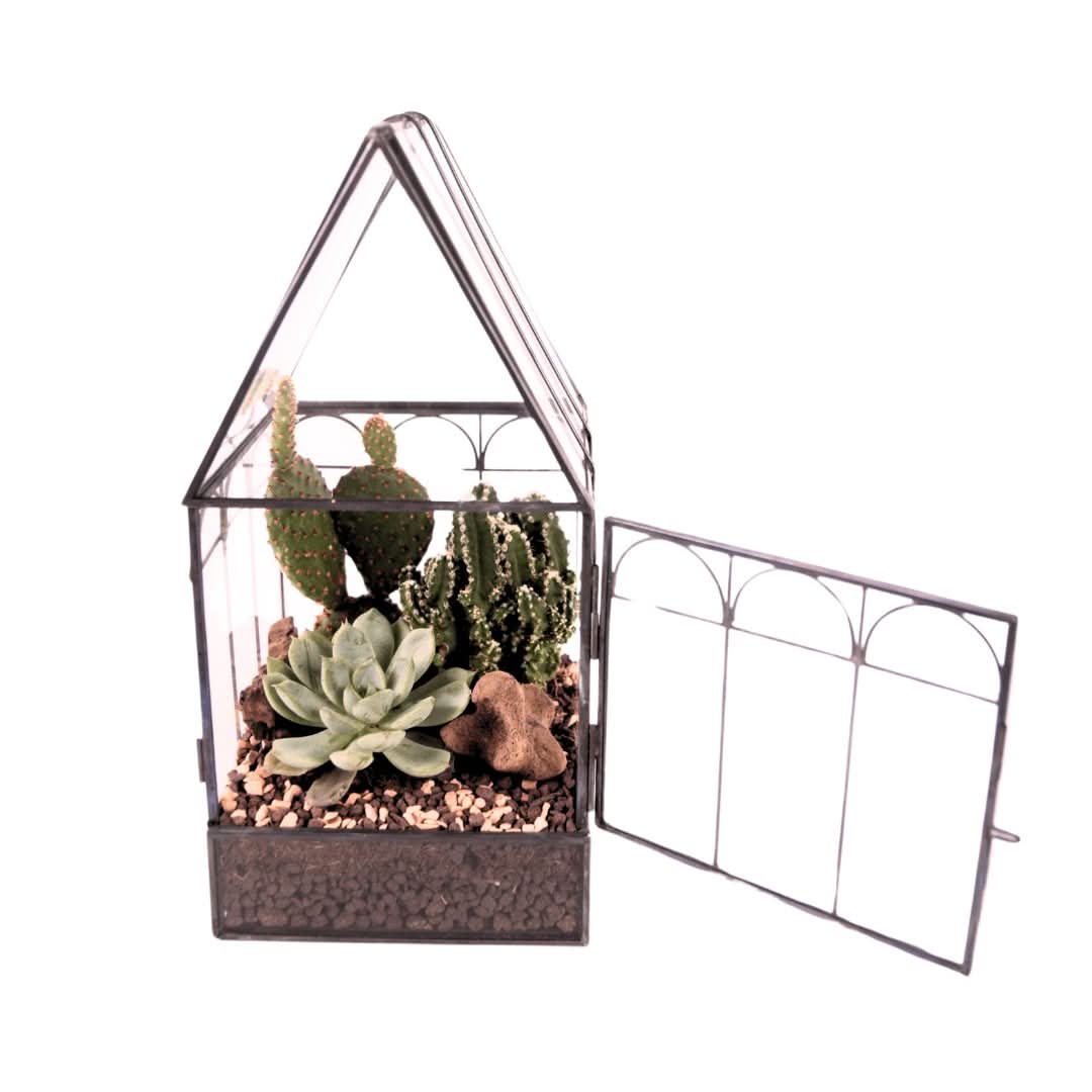 Terrarium Mini Serra Romantica con Piante Grasse 063G