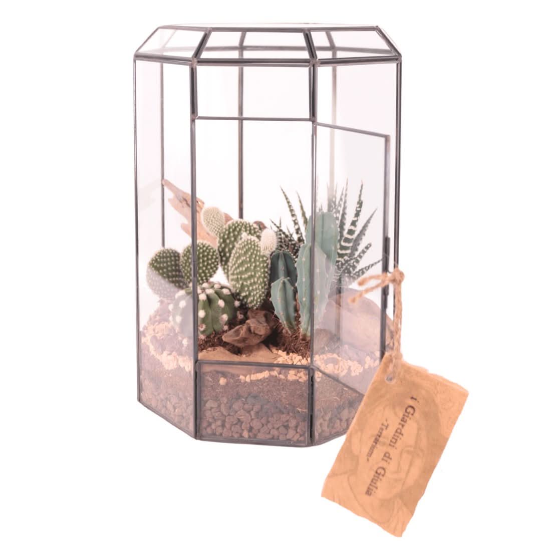 Terrarium Piante Grasse Serra Ottagonale Romantica 069G