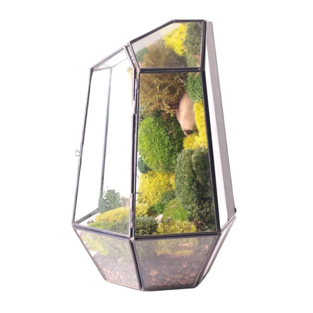 Terrarium Prisma green Stabilizzato