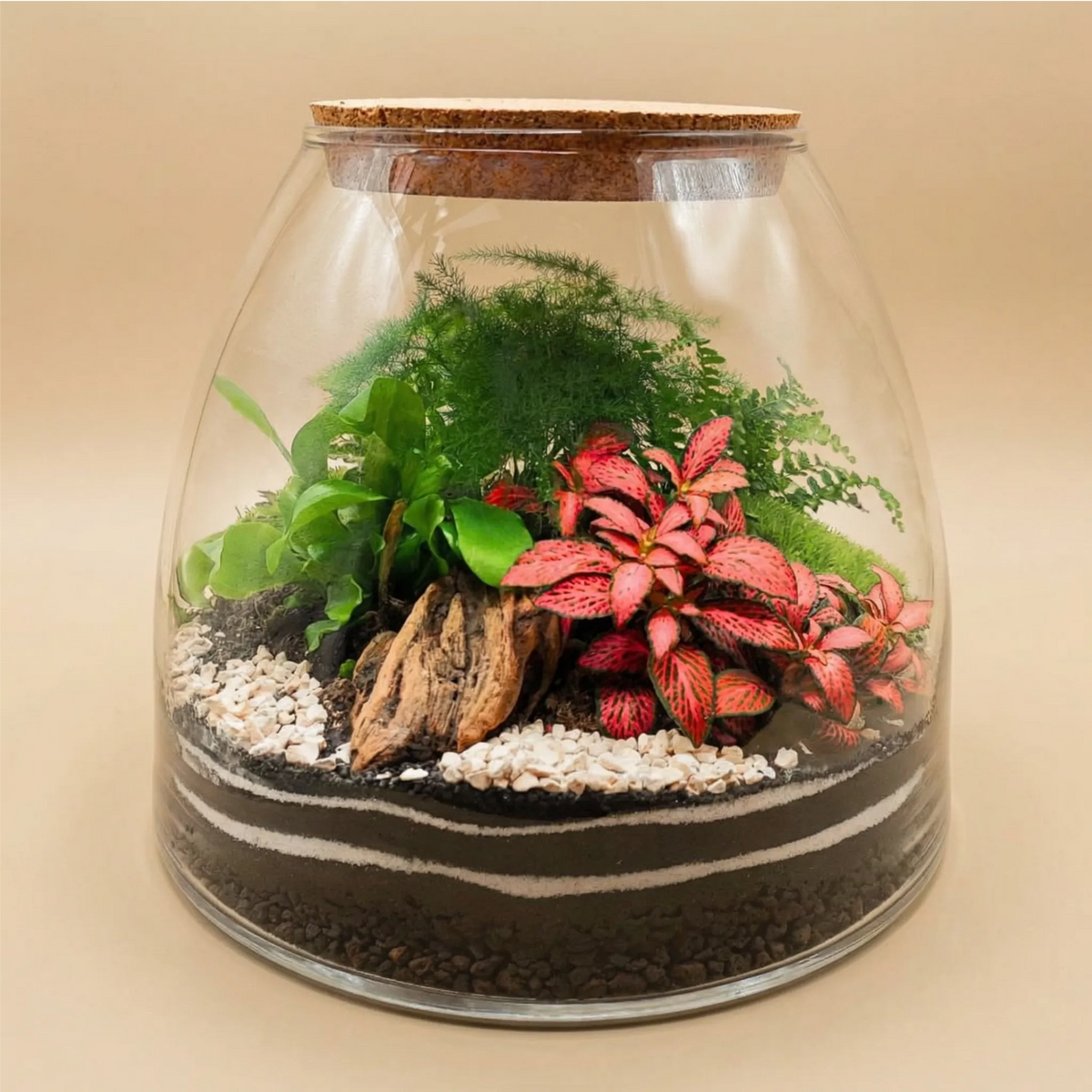 Terrarium "Tropical Haven"