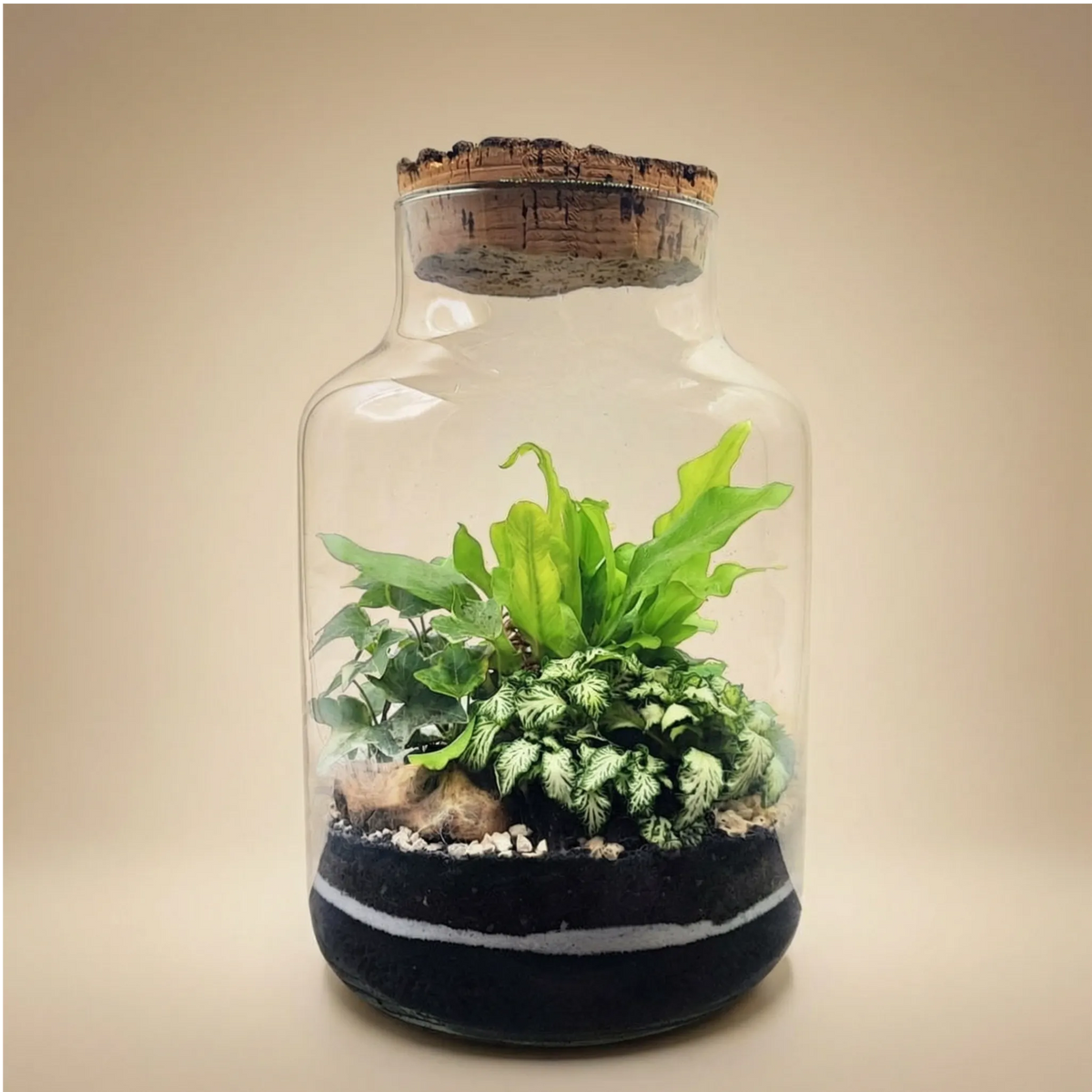 Terrarium Zefira con piante verdi