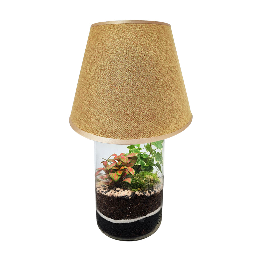 Terrarium Lamparium Aurora