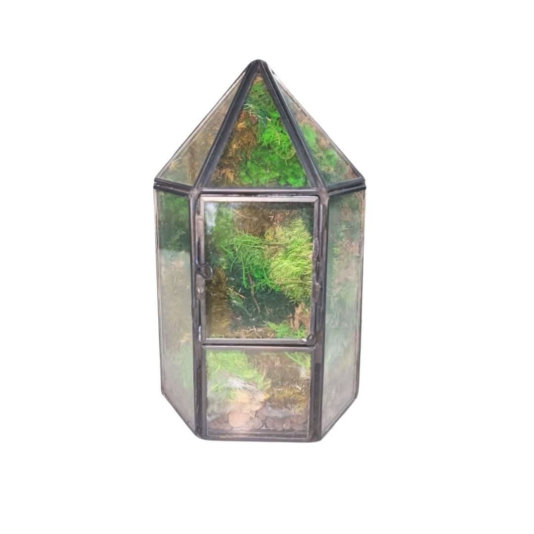 Terrarium Serra di Cristallo con Muschio Stabilizzato