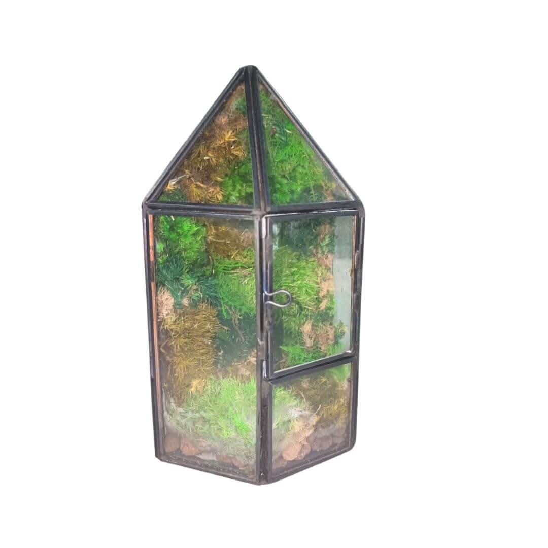 Terrarium Serra di Cristallo con Muschio Stabilizzato
