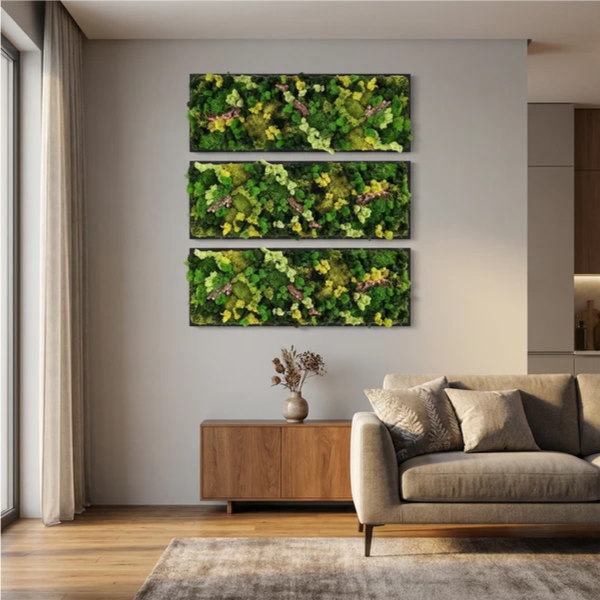 Quadro Rettangolare Muschio e Licheni Stabilizzati con Sughero – 90x30 cm | Cornice Bianca o Nera