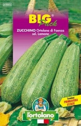 Zucchino Ortolana di Faenza Sel. Lamone - L'Ortolano